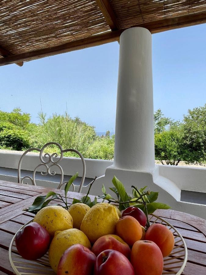 La Casa Del Geologo Apartment Stromboli Bagian luar foto